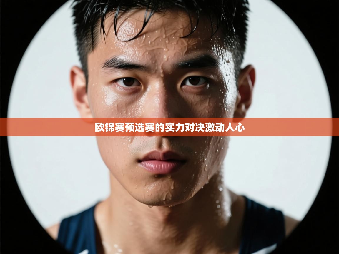 欧锦赛预选赛的实力对决激动人心 第2张