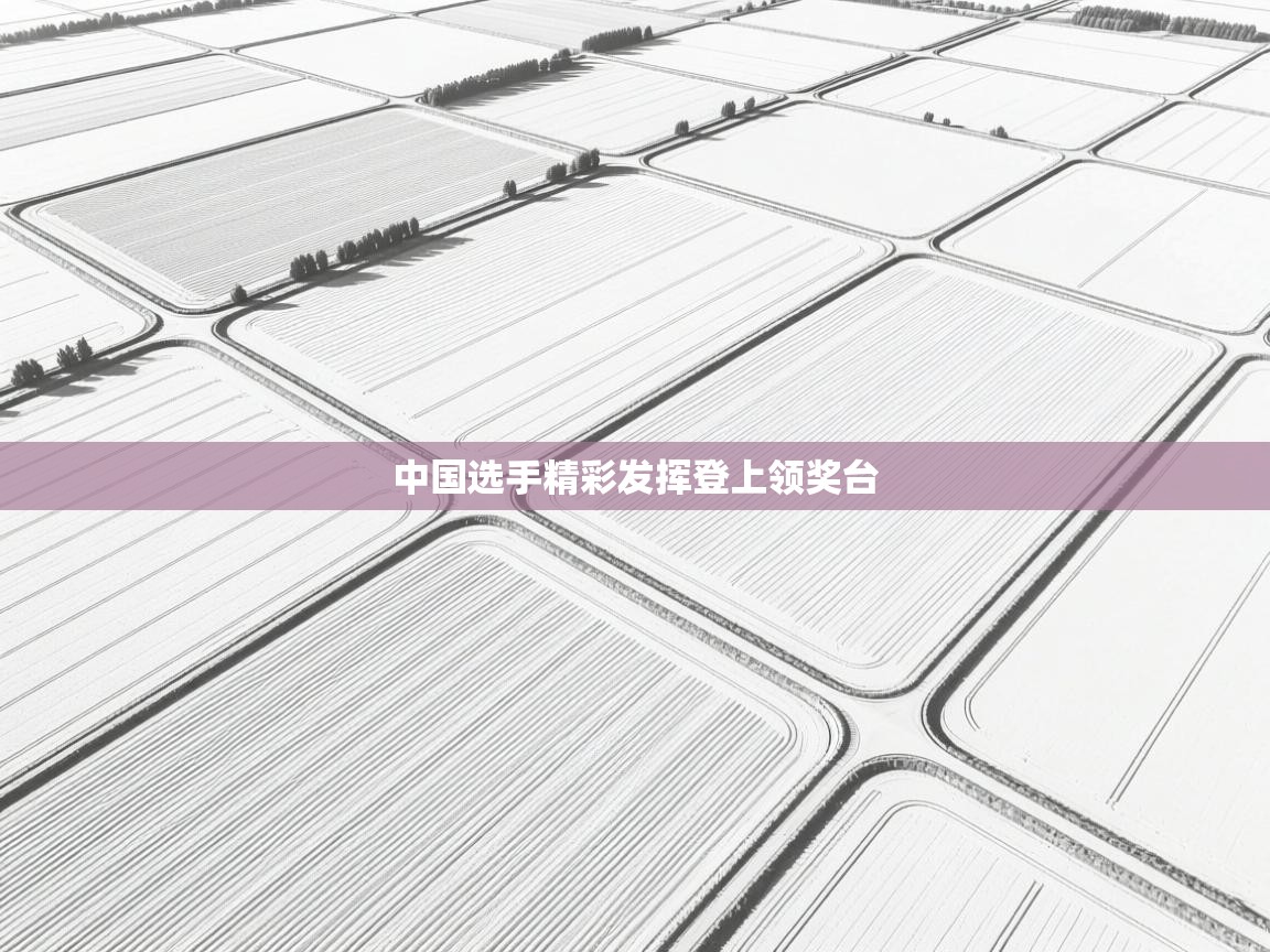 中国选手精彩发挥登上领奖台  第1张