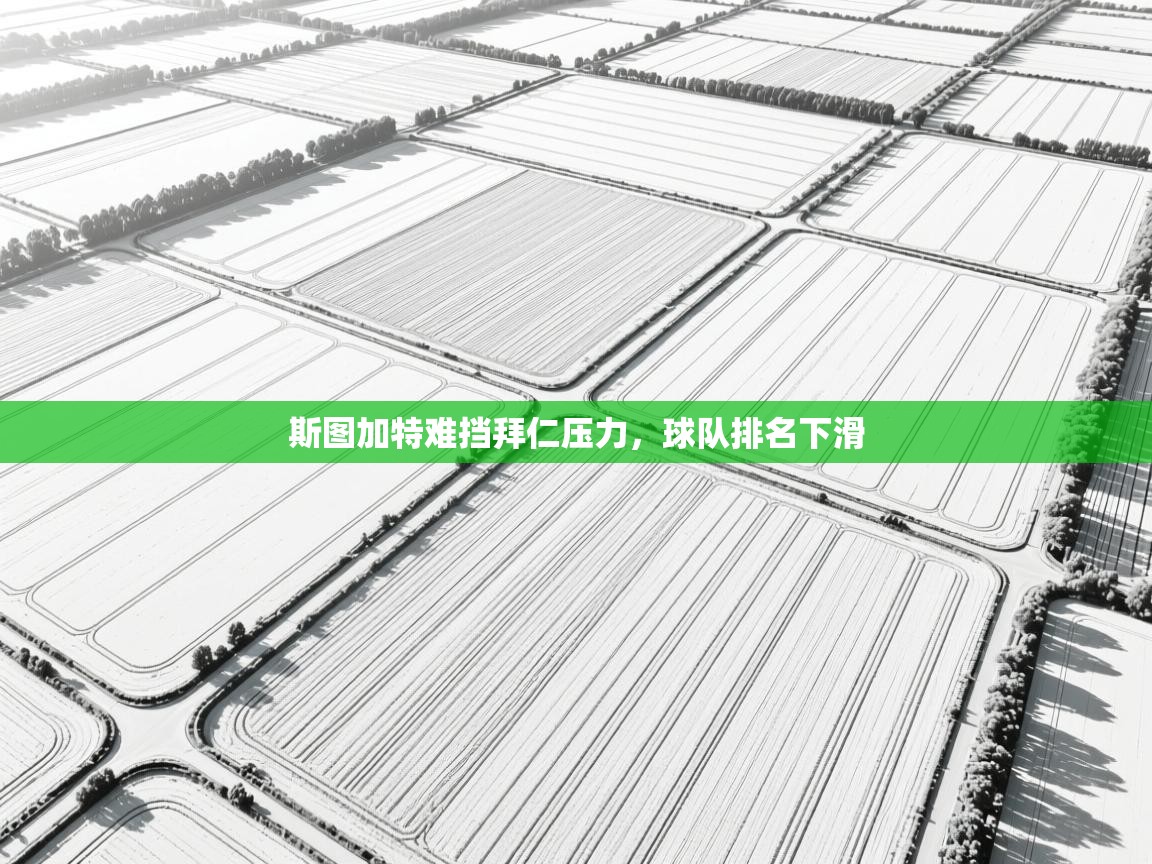 斯图加特难挡拜仁压力，球队排名下滑  第1张