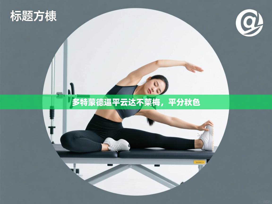 多特蒙德逼平云达不莱梅，平分秋色  第1张